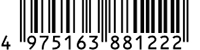 4975163881222