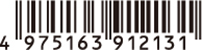 4975163912131