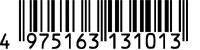 4975163131013