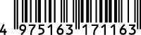 4975163171163