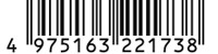 4975163221738