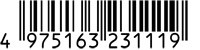 4975163231119