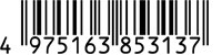 4975163853137