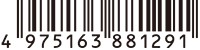 4975163881291