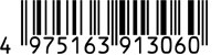 4975163913060