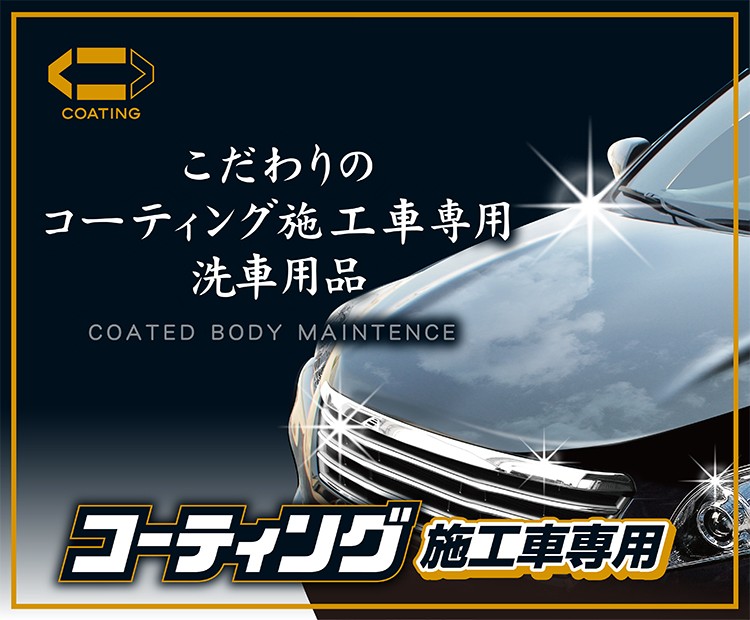 プロスタッフ公式 洗車グッズ 油膜取り カーケア用品